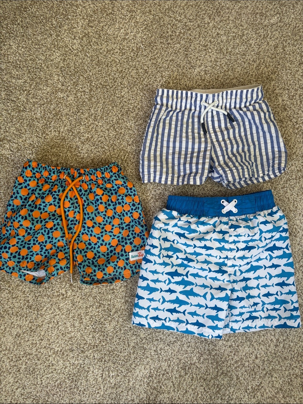 18 months - 2T Swim Trunks Toddler Boys